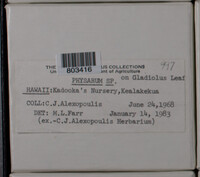 Image Associated With the Occurence